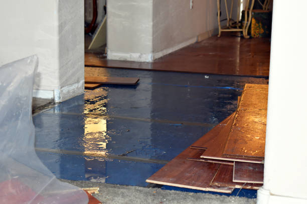 Professional Water Damage Restoration technician working in Greenfield, IA
